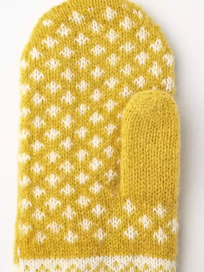 Isvik Mitt
